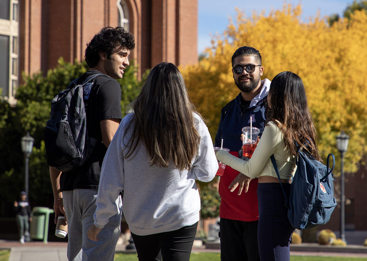 The University Of Arizona Usa Ranking Reviews Courses Tuition